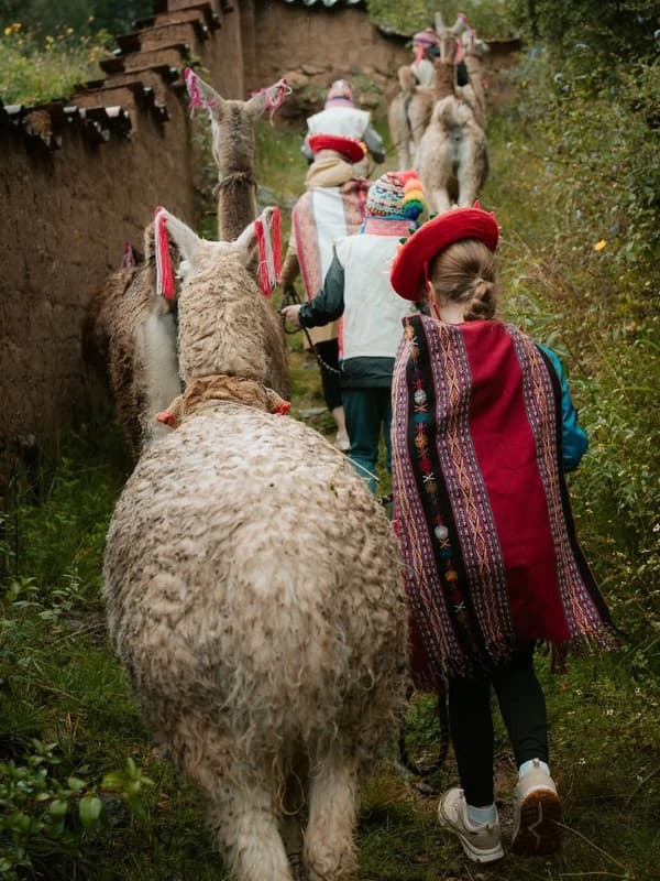 Viajeros recorriendo un sendero andino acompañados por llamas