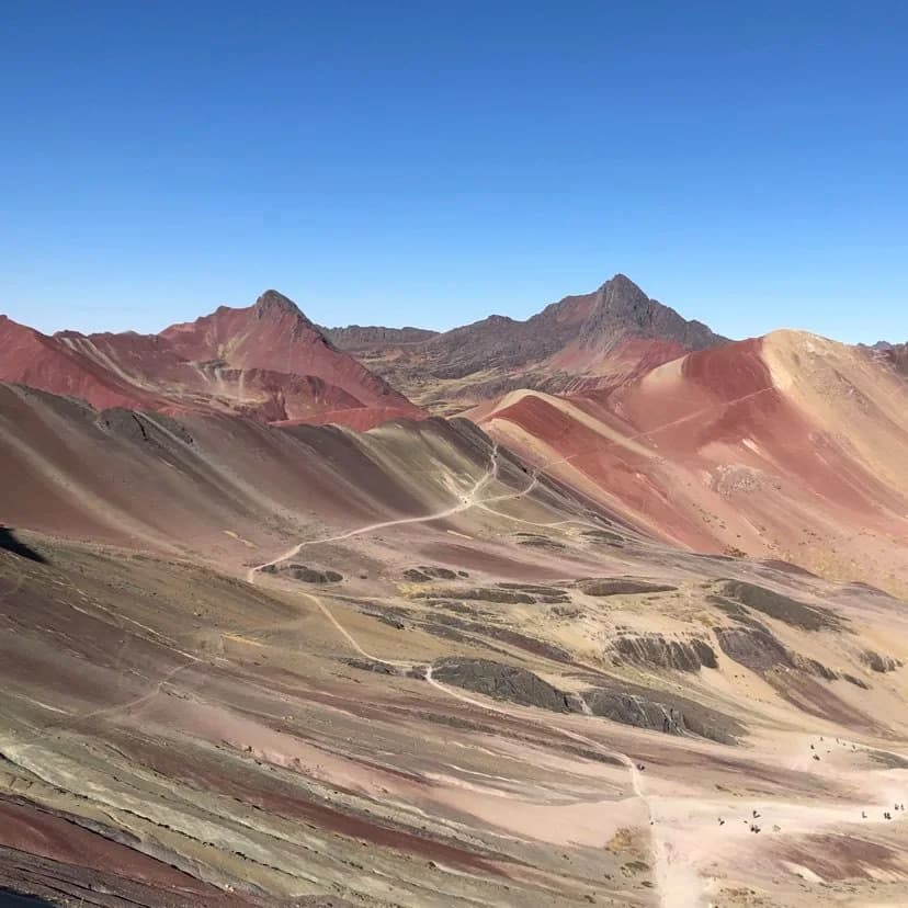 Alpacas en los paisajes de la cordillera de Vinicunca